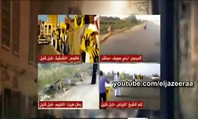 متصل لـ«الجزيرة»: «باقترح ماراثون للحمير من مذيعي القناة»