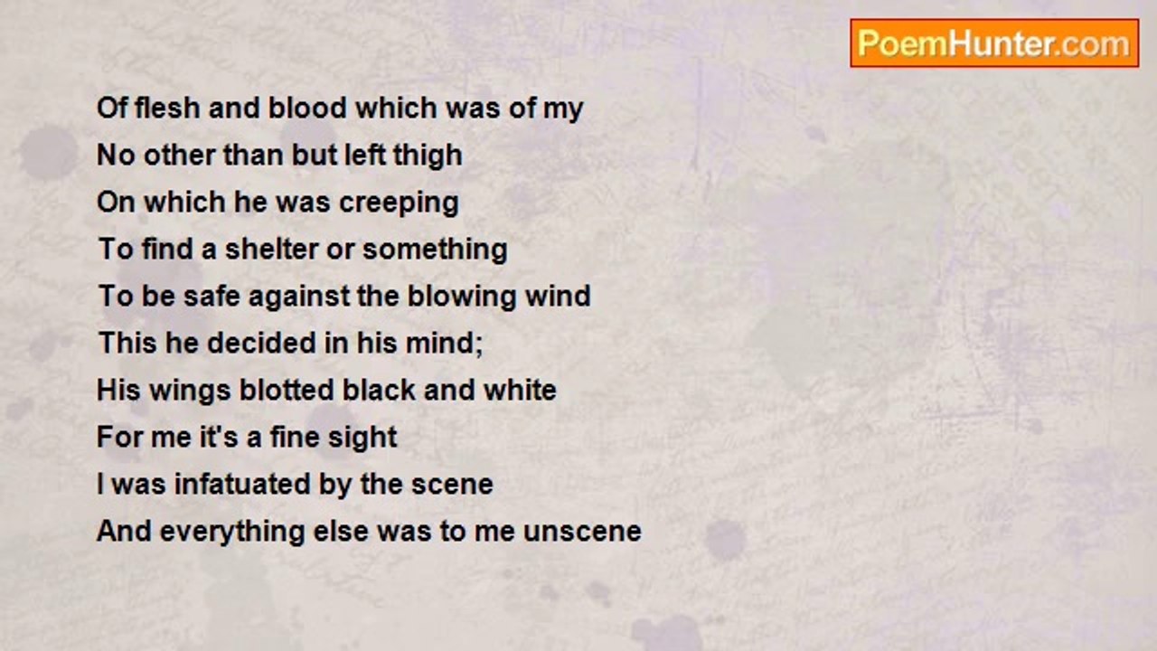 Indresh Kumar - My Tiny Fellow Traveller