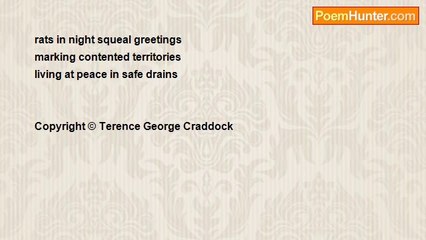 Terence George Craddock (Spectral Images and Images Of Light) - Rats In Safe Drains