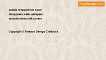Terence George Craddock (Spectral Images and Images Of Light) - Pebble Dropped Into Pond