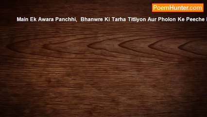 Awara Panchhi - Awara Panchhi