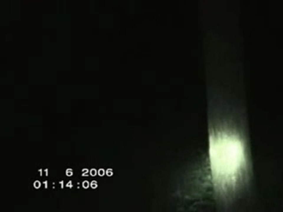 Creature