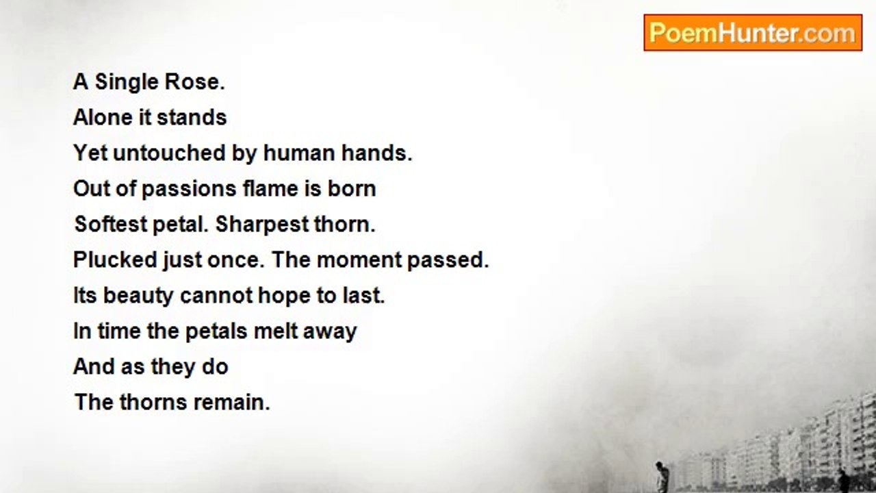 Samuel Pope - Rose