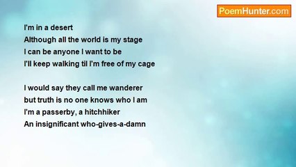 Caroline Guedes - Wanderer