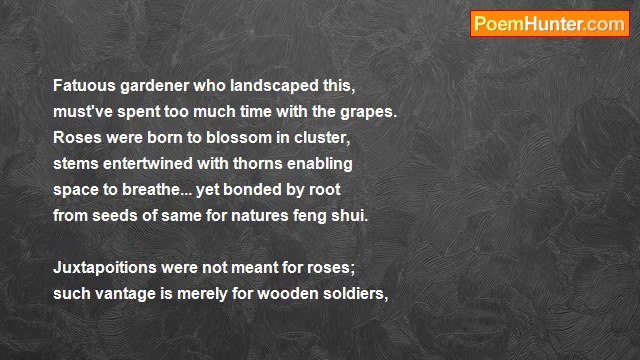 Frank James Ryan Jr...FjR - Of Respect To The Rose...