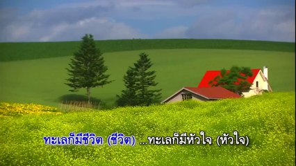 รั้วทะเล - คาราบาว ..คาราโอเกะ