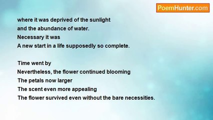 Alexandra Isnard - The Story of My Flower