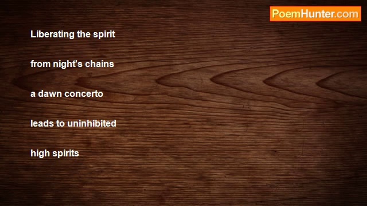 john o'connell - Liberating the spirit