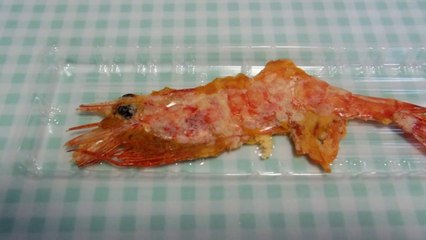 Flat Shrimpy Yumminess in Japan!