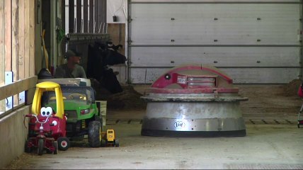 Robotic dairies the future of milk production