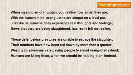 Angela Wybrow - 'Tans For The Memory (Orangutans)