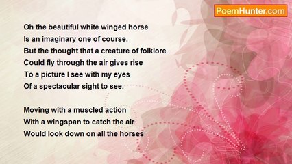 Edwina Reizer - Pegasus