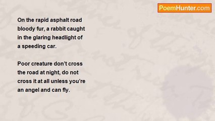 oskar hansen - Soft Coat