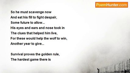 Denis Martindale - Fresh Snow