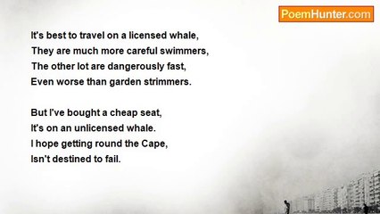 Sebastian Seal - Unlicensed Whale