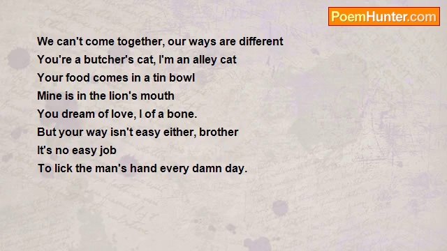 Orhan Veli Kanik - Tail-Song