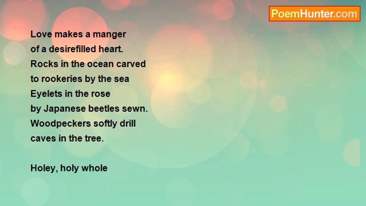 Saiom Shriver - Holey Holy Whole   Version 9