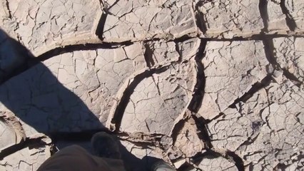 Action 11 - San Pedro Désert Craquant