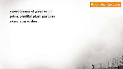 Sheri Brown - Sweet Dreams