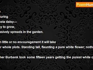 Paul Geiger - Biology Lesson