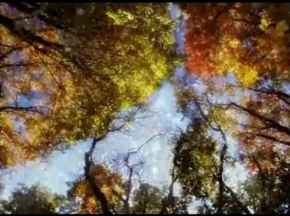 Группа Гарин и Гиперболоиды - В.Цой песня - Дождь.