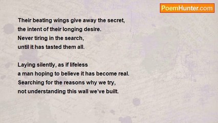 Gary Scott Gebert - Hummingbird