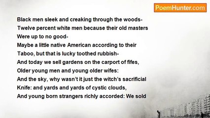 Robert Rorabeck - Like Cormerants In Luxuriant Hell