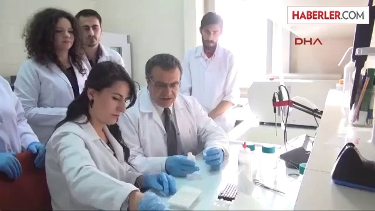 Kurbağalar Korunmazsa Sinek Sayısı Patlar