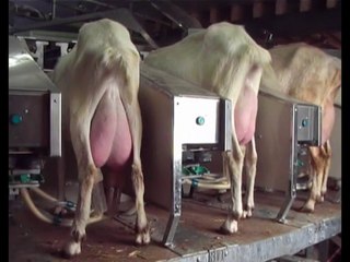 quai rotatif traite extérieure