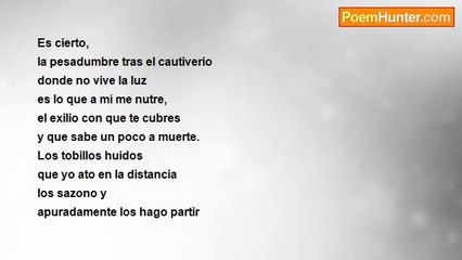 Natalia Menendez Rodriguez - TOBILLO EN FUGA ADEREZADO CON REMOLACHA Y PIÑONES