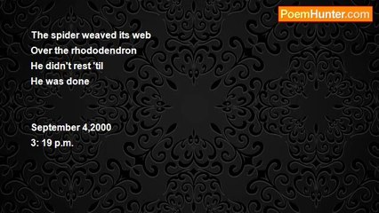 A Poet Who Loves To Sing ....AlvesHolmes - The Lace Maker