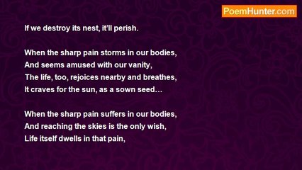Janri Gogeshvili - LIFE DWELLS IN PAIN