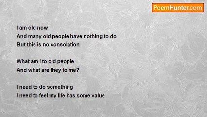 Shalom Freedman - The Doing Nothing