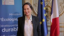 Ségolène Royal appelle les régions à participer au nouveau modèle énergétique français
