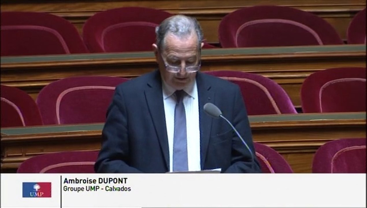 Avenir des étalons nationaux : "Ne dispersons pas notre patrimoine génétique en vendant nos meilleurs reproducteurs à l'étranger !"