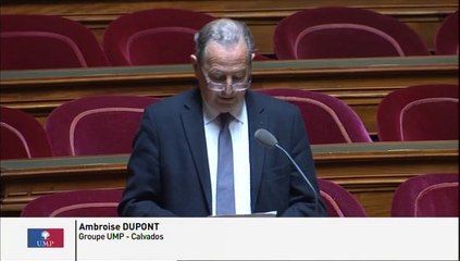 Avenir des étalons nationaux : "Ne dispersons pas notre patrimoine génétique en vendant nos meilleurs reproducteurs à l'étranger !"