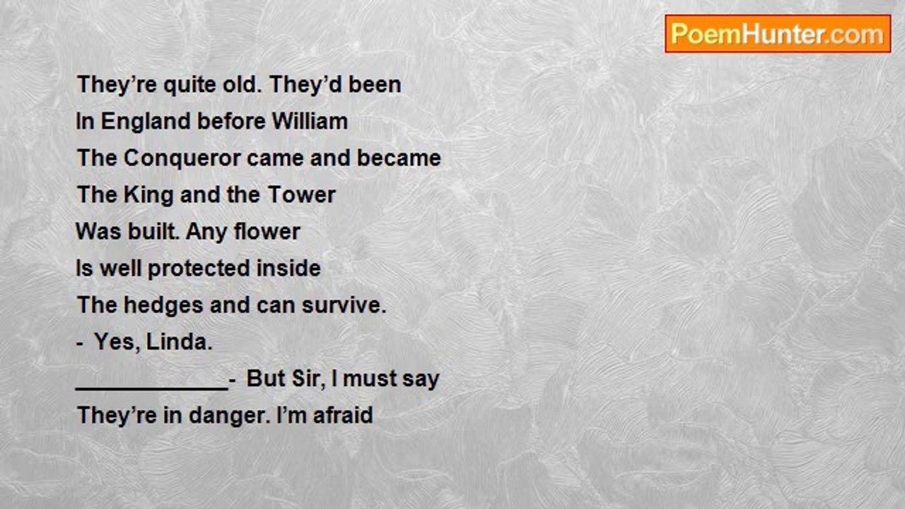 Konstantin Ananin - School theme 13. The hedges. (A real story) .