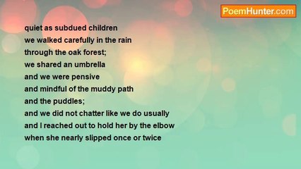 Raj Arumugam - rain in an oak forest