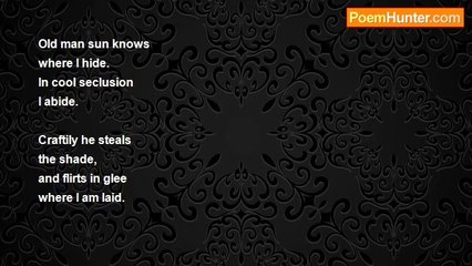 Sally Plumb Plumb - Summer Shade