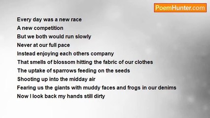 Jacob Andrew Jarman - Pollution and Metal Birds