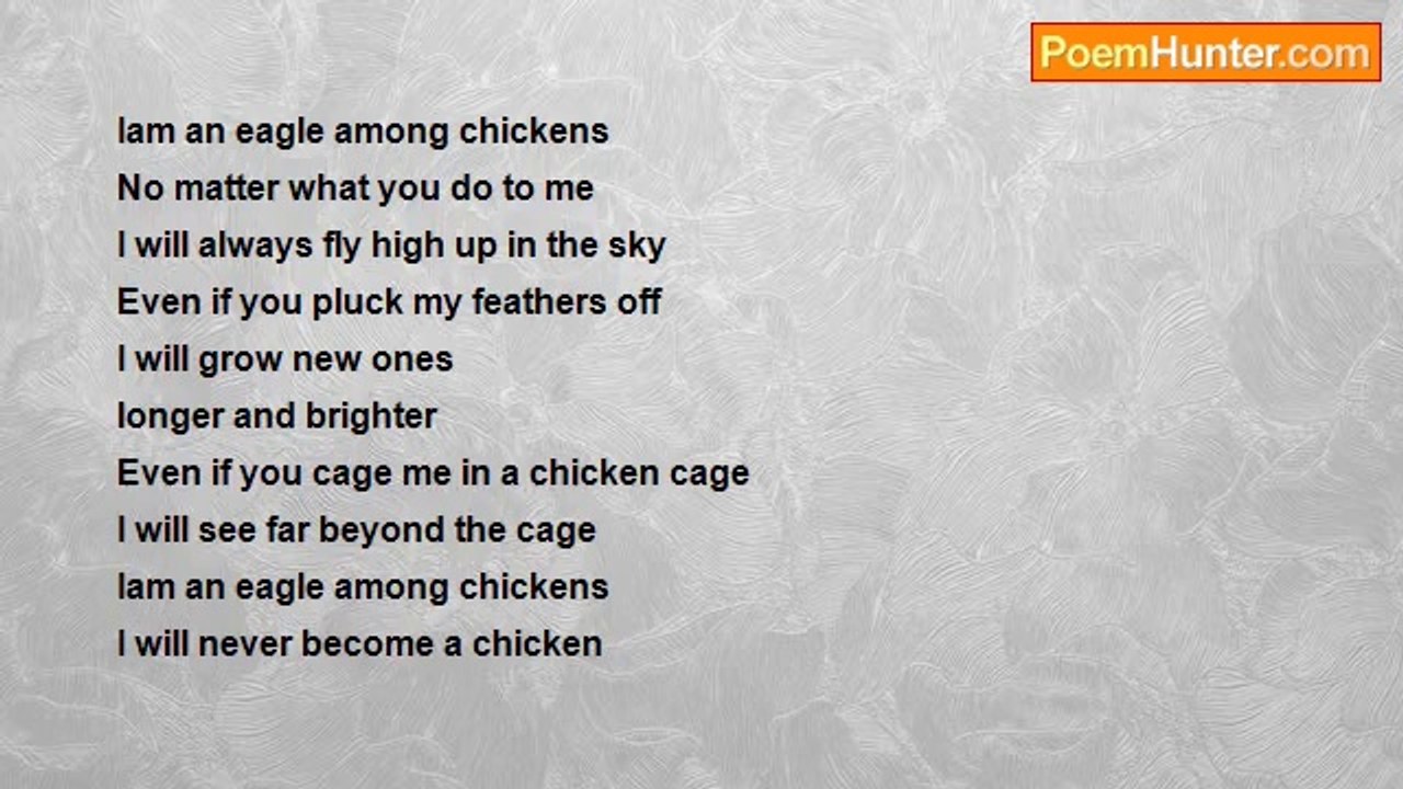 Chanda Nsofu - Eagle Among Chickens