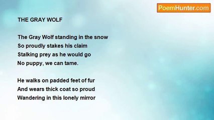 Carolyn Ford Witt - THE GREY WOLF