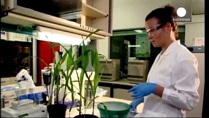 AB-ABD anlaşması tarım politikalarını nasıl etkileyecek ?