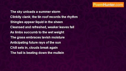 Biff McGuire - Todays Rain