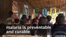 WHO- Key facts about Malaria