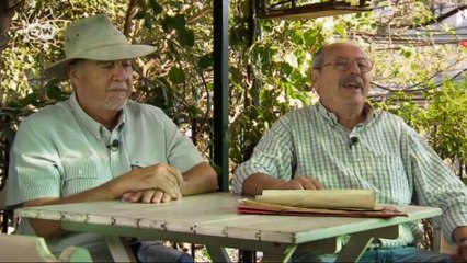 Taking a Beetle to the World Cup | Drive it!