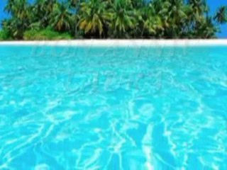 ♥ ♥♪♪BON ANNIV LAURA♥ ♥♪♪