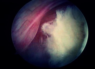 DiaL a.k.a Digital Alkemist - Lacuna Inc.