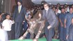Amitabh Bachchan Promotes TV Series Yudh @ Bombay Stock Exchange !