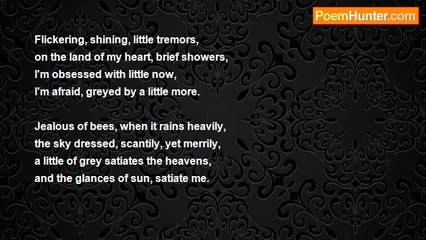 Zain Durrani - Insipid Tremors